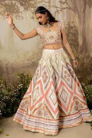 Multicolor Lehenga Indian Wedding Embroidered by Aashima Behl