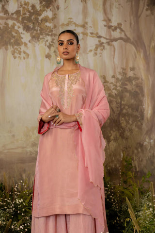 Sharara Set Indian Wedding Pink by Aashima Behl