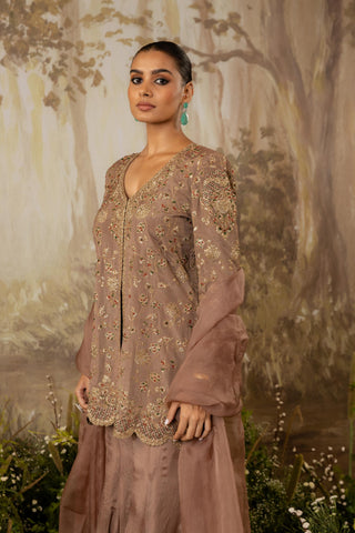 Sharara Set Indian Wedding Brown Embroidered by Aashima Behl