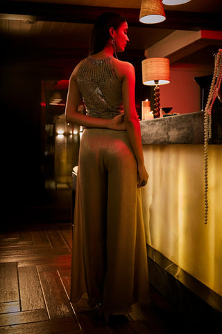 Jumpsuit Gown for Contemporary Wear – Brown Taupe by Babita Malkani