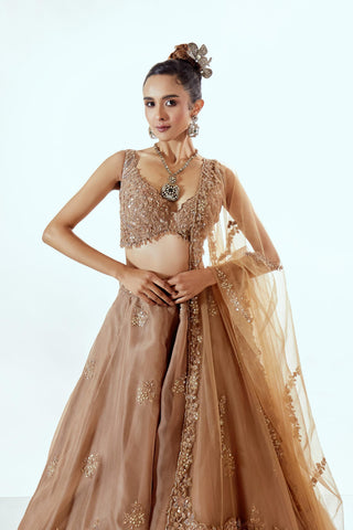 Brown Lehenga Set for Indian Wedding – Daffodil Pearl Organza by Pallavi Poddar