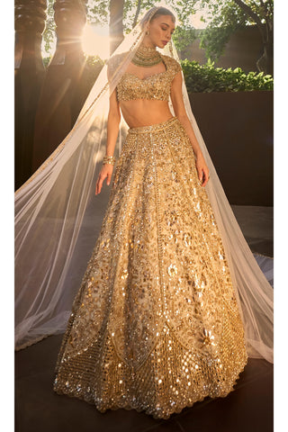 Mirror Work Lehenga Set Indian Wedding Silver Tissue by Tamanna Punjabi Kapoor
