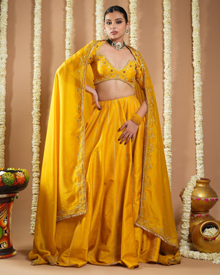 Mustard yellow heavy slub avyanna lehenga set