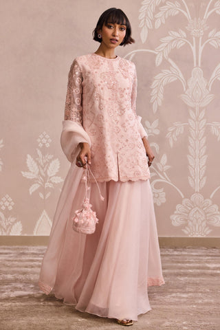 Pink velvet kurta nooreh ever after sharara set