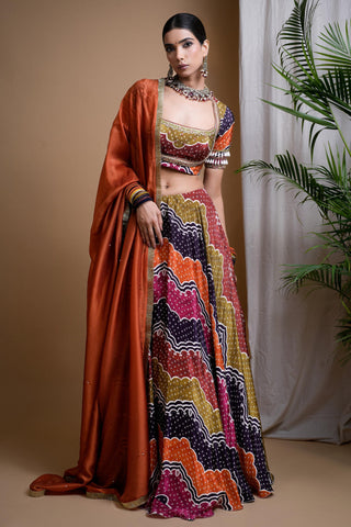 Multicolor sitara digital print heavy lehenga set
