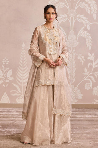 Gold embroidered nooreh ever after sharara set