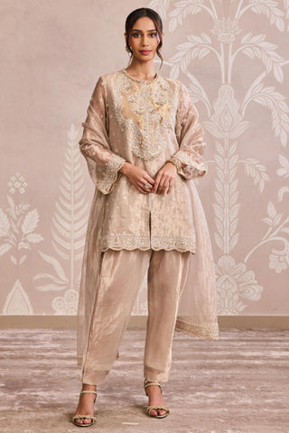 Gold tissue nooreh ever after kurta set