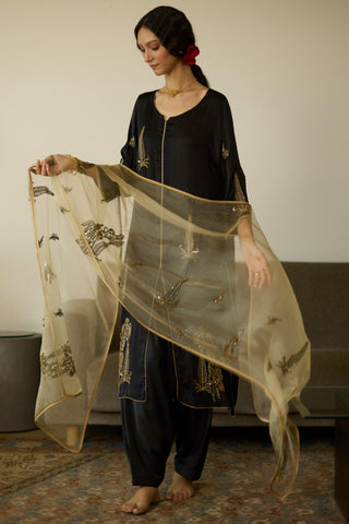 Black chhaaya hand embroidered kurta set