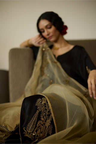 Black chhaaya hand embroidered kurta set