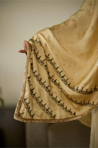 Beige saanjh hand embroidered kurta set