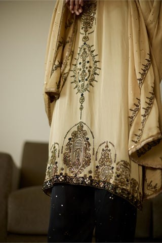 Beige saanjh hand embroidered kurta set