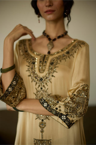 Beige saanjh hand embroidered kurta set