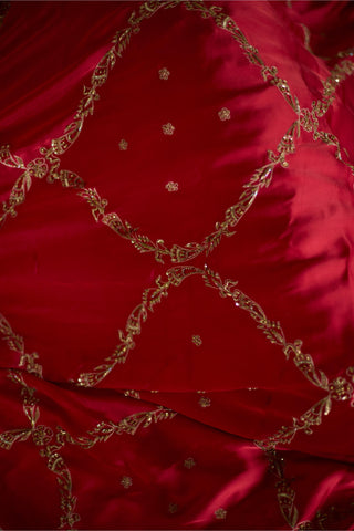 Red maitreyi hand embroidered saree