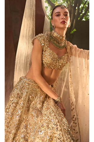 Mirror Work Lehenga Set Indian Wedding Silver Tissue by Tamanna Punjabi Kapoor