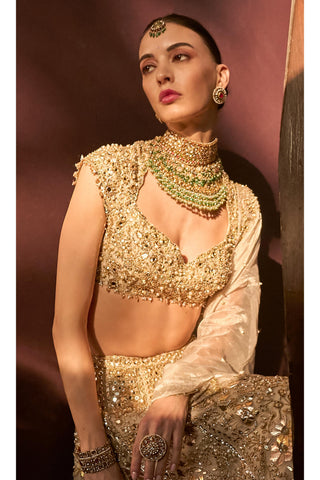Mirror Work Lehenga Set Indian Wedding Silver Tissue by Tamanna Punjabi Kapoor
