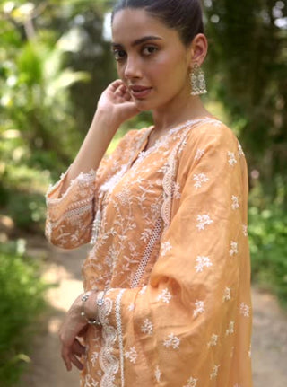 Orange malgudi days caara kurta set