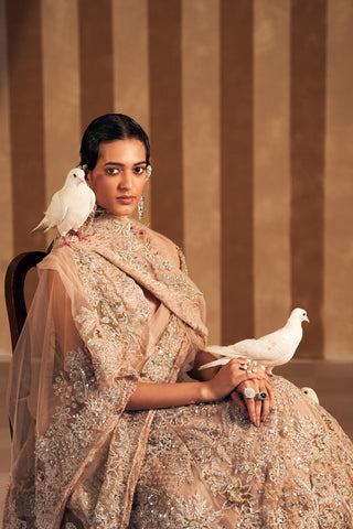 Beige inaara hunar lehenga set