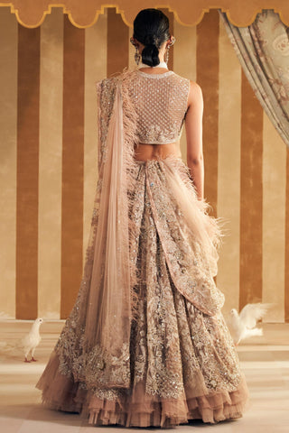 Beige inaara hunar lehenga set