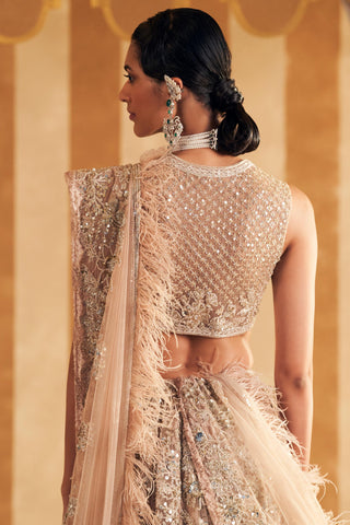 Beige inaara hunar lehenga set