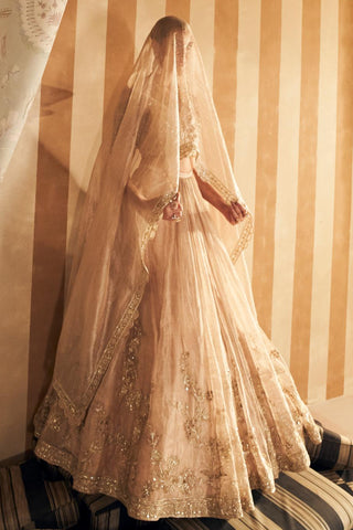 Gold zarina hunar lehenga set