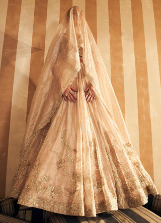 Gold zarina hunar lehenga set