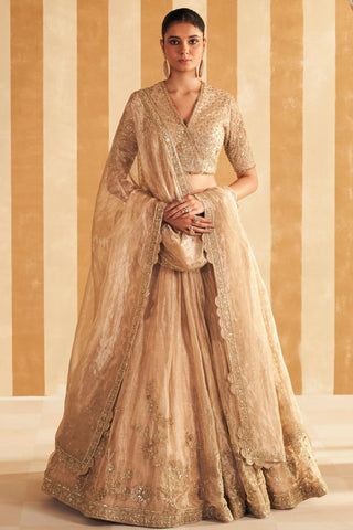 Gold zarina hunar lehenga set