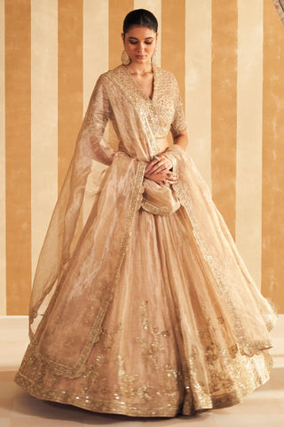 Gold zarina hunar lehenga set