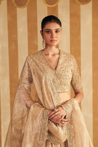 Gold zarina hunar lehenga set