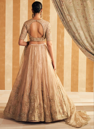 Gold zarina hunar lehenga set