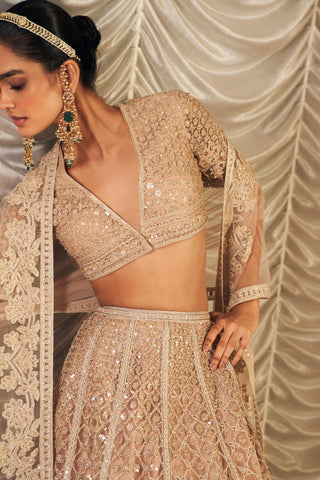 Beige sukhan hunar lehenga set
