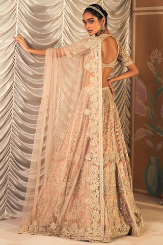 Beige sukhan hunar lehenga set