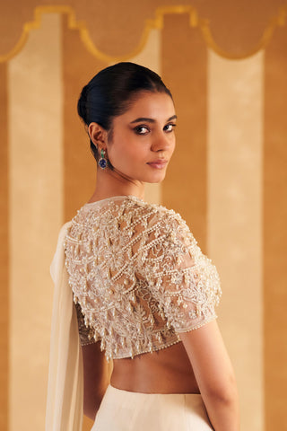 Ivory naqaa hunar saree set