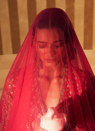 Pink tabeer hunar lehenga set