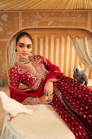 Red pareesa hunar anarkali set