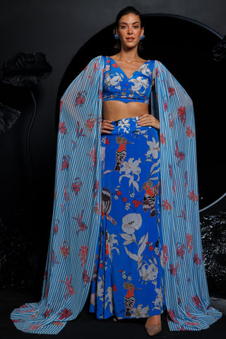 Blue cropped top & skirt