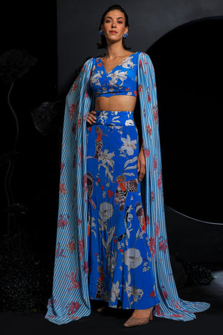 Blue cropped top & skirt