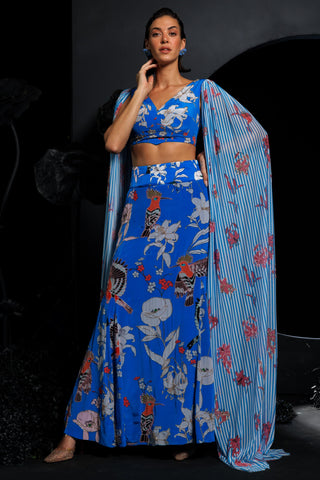 Blue cropped top & skirt