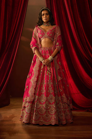 Rani pink aakruti embroidered lehenga set