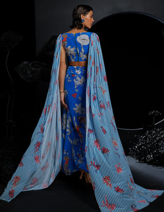 Blue cropped top & skirt