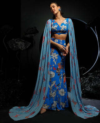 Blue cropped top & skirt