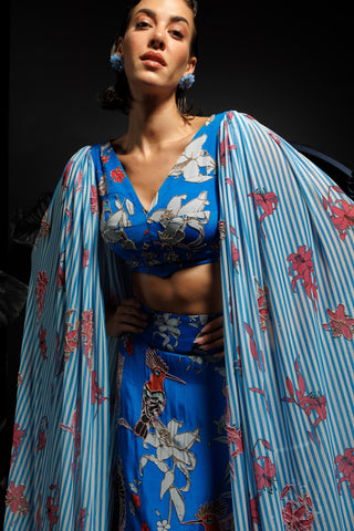 Blue cropped top & skirt