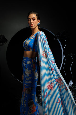 Blue cropped top & skirt