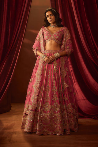 Rani pink aakruti embroidered lehenga set
