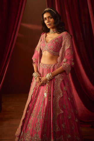 Rani pink aakruti embroidered lehenga set
