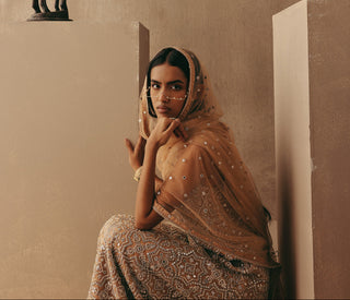 Mirrorwork Backless Dress Indian Wedding Peach Hi Neck Dress by Twenty Nine