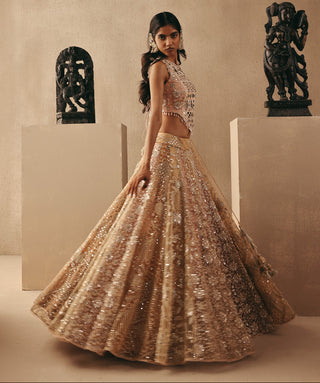 Lehenga Set Indian Wedding – Multicolour Corset by Twenty Nine