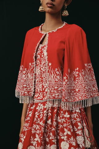 Lehenga Set Indian Wedding – Red Parsi Gaara by Twenty Nine