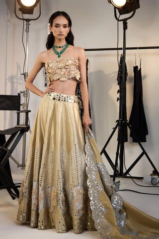 Lehenga Set for Indian Weddings – Gold Banarasi Brocade by Twenty Nine