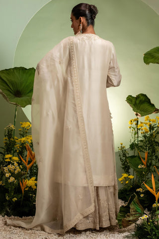 Sharara Set for Indian Wedding – Ivory Eden by Pallavi Poddar