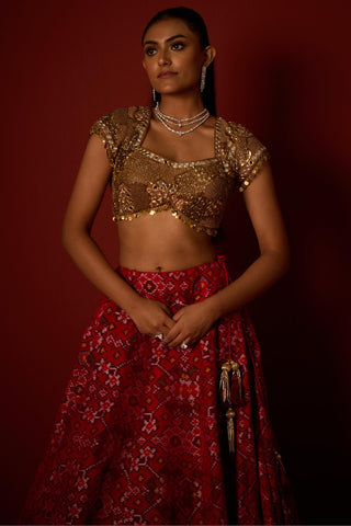 Lehenga set for Indian Wedding – Ruby Red by 29india